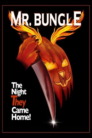 Mr. Bungle: The Night They Came Home Poster