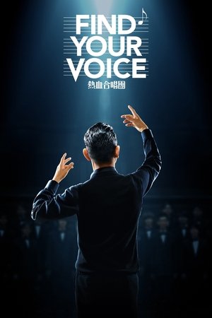 Find Your Voice Poster