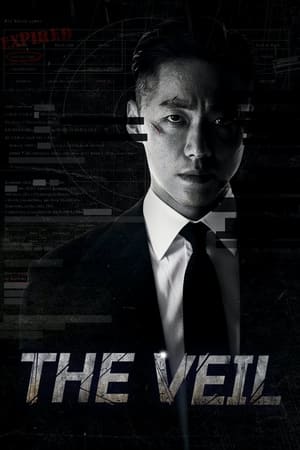 The Veil Poster
