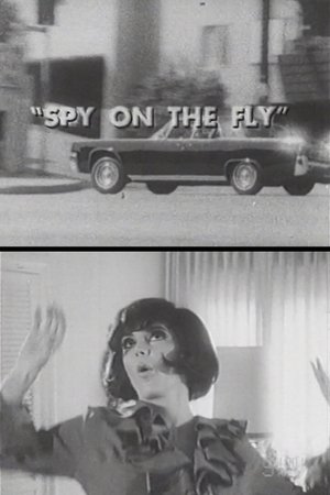 Spy on the Fly Poster
