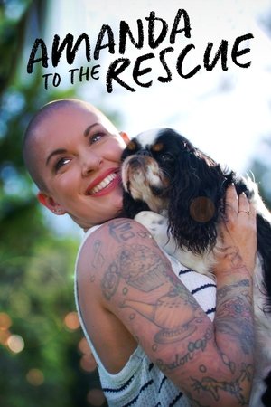Amanda to the Rescue Poster