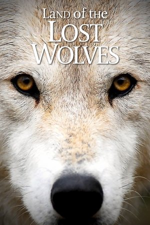 Land of the Lost Wolves Poster