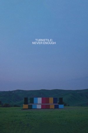 Turnstile: Never Enough Poster