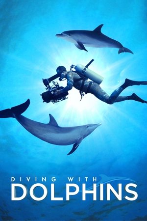 Diving with Dolphins Poster
