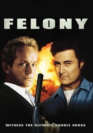 Felony Poster