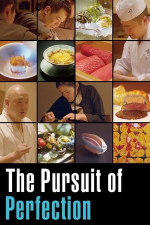 The Pursuit Of Perfection Poster