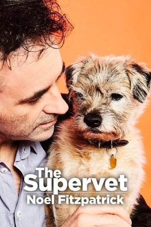 The Supervet: Noel Fitzpatrick Poster