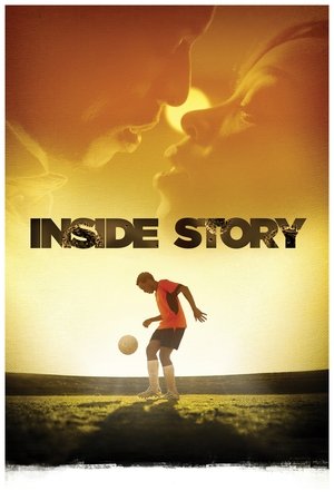 Inside Story Poster