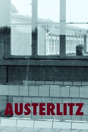 Austerlitz Poster