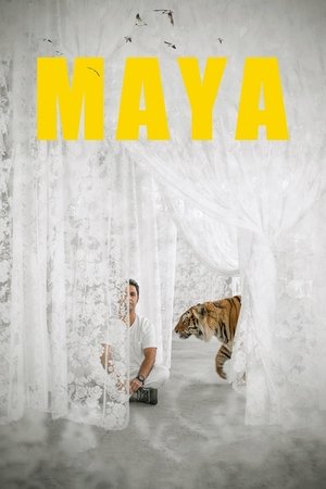 Maya Poster