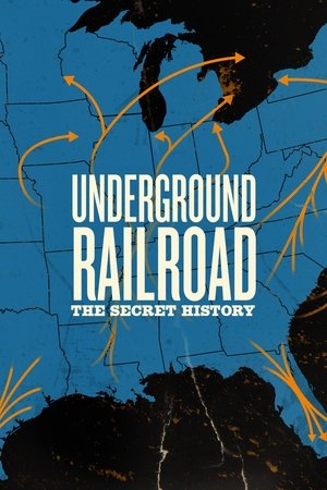 Underground Railroad: The Secret History Poster