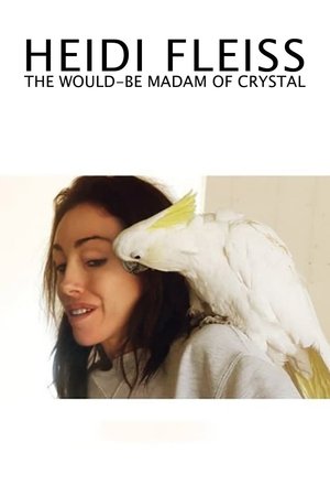 Heidi Fleiss: The Would-be Madam of Crystal Poster