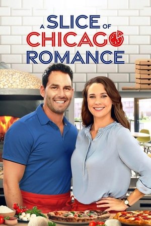 A Slice of Chicago Romance Poster