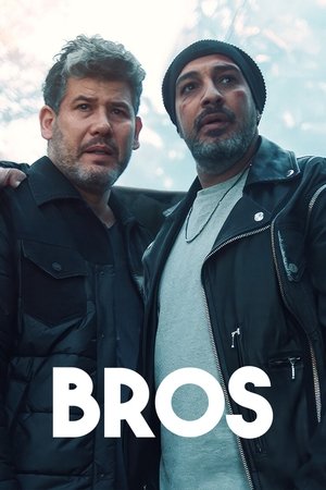 Bros Poster