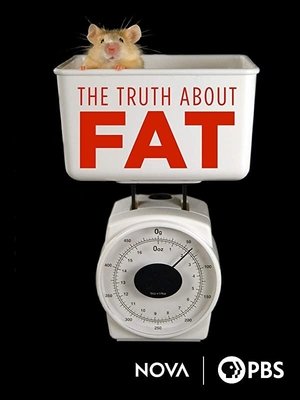 The Truth About Fat Poster