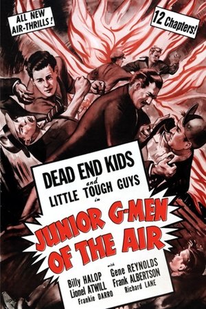 Junior G-Men of the Air Poster