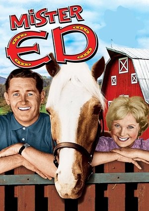 Mister Ed Poster