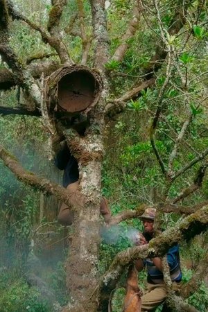 The Harvesters Poster