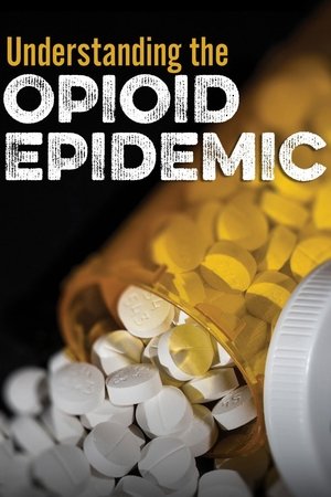 Understanding the Opioid Epidemic Poster