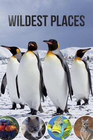 Wildest Places Poster