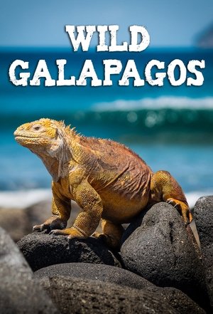 Wild Galapagos: Pristine Seas Poster