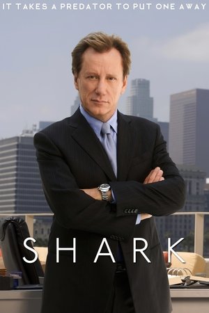 Shark Poster