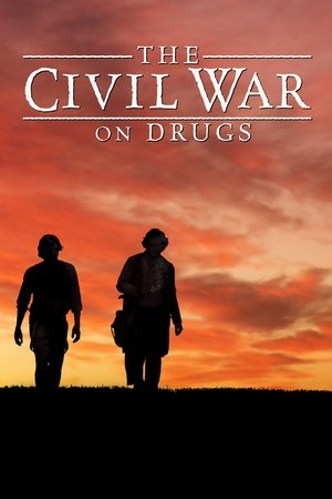The Civil War on Drugs Poster