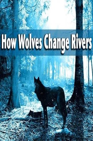 How Wolves Change Rivers Poster