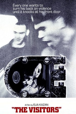 The Visitors Poster