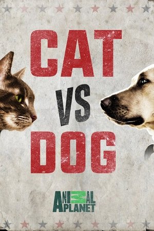 Cat Vs. Dog Poster