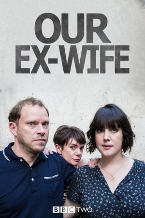 Our Ex-Wife Poster