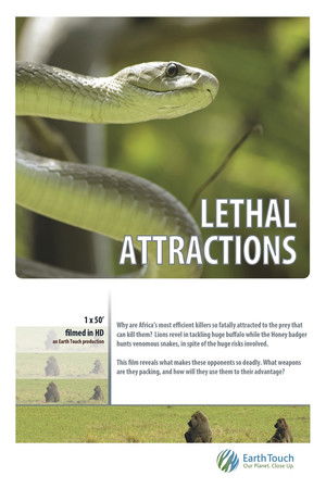 Lethal Attractions Poster