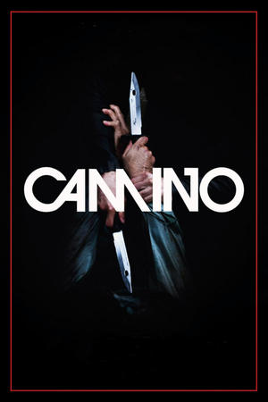 Camino Poster