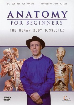 Anatomy for Beginners Poster
