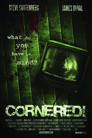Cornered! Poster