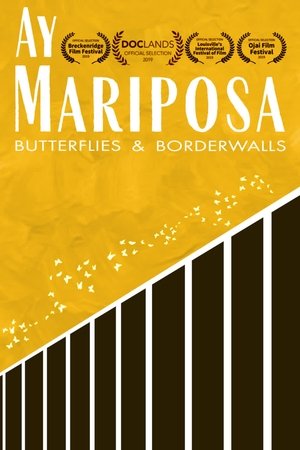 Ay Mariposa Poster