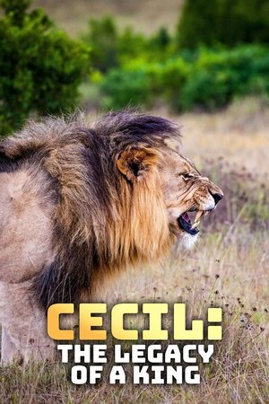 Cecil: The Legacy of a King Poster