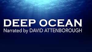 Deep Ocean Poster
